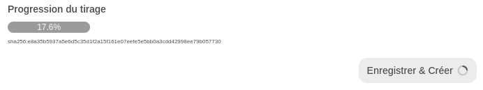 Progression de l'installation du Modelfile Capture d'écran de la progression de l'installation du Modelfile